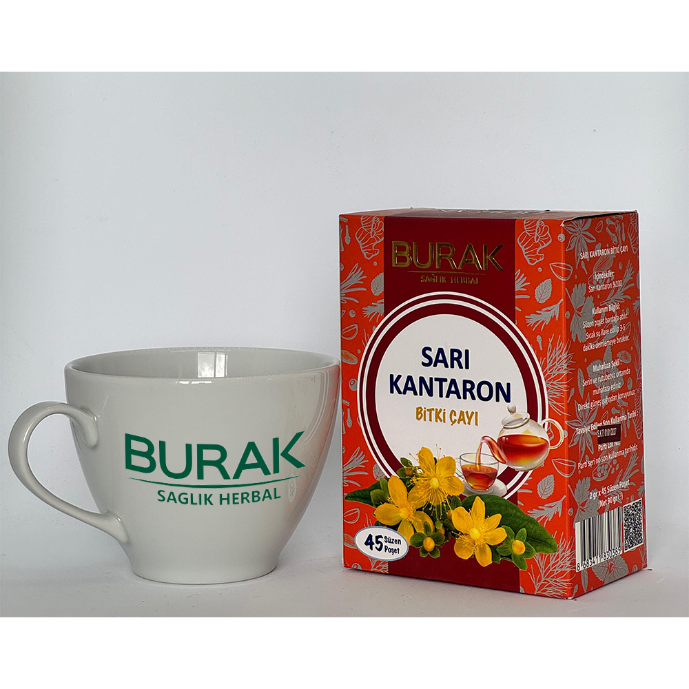 BURAK SAĞLIK /SARI KANTORON ÇAYI